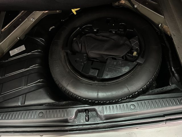 RENAULT Scenic usata, con Cruise Control