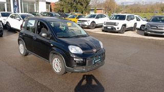 FIAT Panda usata 21