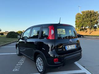 FIAT Panda usata 35