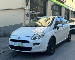 FIAT Punto 1.2 8V 5 porte Street