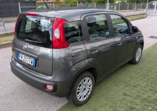 FIAT Panda usata, con Chiusura centralizzata