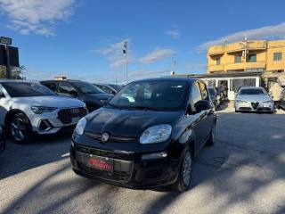 FIAT Panda usata, con Cronologia tagliandi