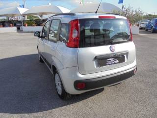 FIAT Panda usata 10