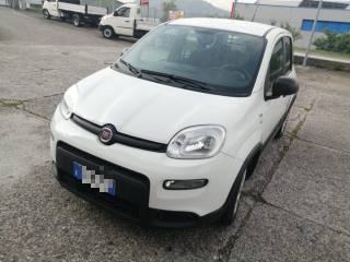 FIAT Panda 1.0 GSE S&S Hybrid Street Van 4 posti