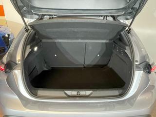 PEUGEOT 308 usata, con Sedile posteriore sdoppiato