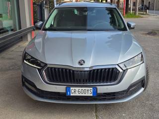 SKODA Octavia usata 141