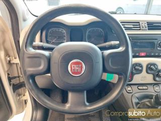 FIAT Panda usata 20