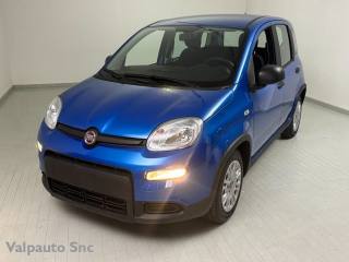 FIAT Panda usata, con Immobilizzatore elettronico