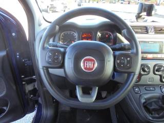 FIAT Panda usata 29