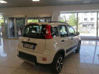 FIAT Panda usata 23