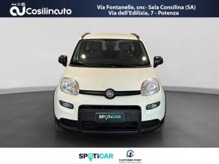 FIAT Panda usata, con Cerchi in lega