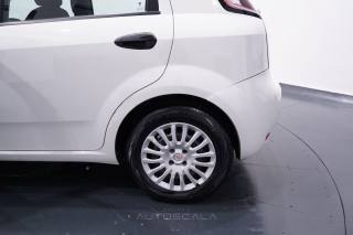 FIAT Punto usata 22