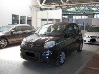 FIAT Panda usata, con Airbag Passeggero