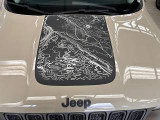 JEEP Renegade usata, con Bluetooth