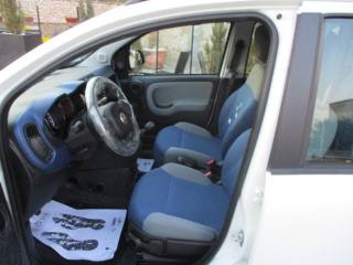 FIAT New Panda usata, con Alzacristalli elettrici