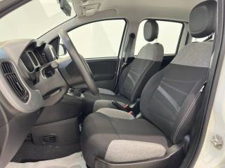 FIAT Panda usata, con Controllo trazione