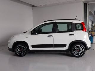 FIAT Panda usata, con Alzacristalli elettrici