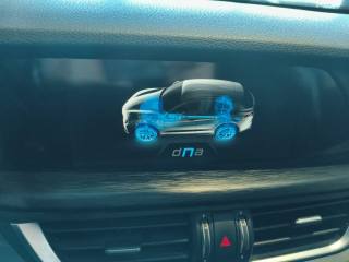 ALFA ROMEO Stelvio usata, con Fendinebbia