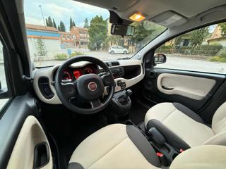 FIAT Panda usata, con Servosterzo