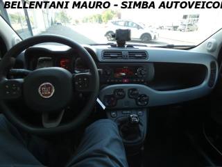 FIAT Panda usata 14