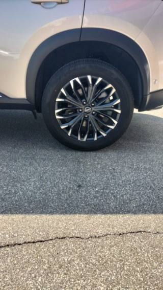 NISSAN X-Trail usata, con Chiusura centralizzata