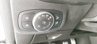 FORD Fiesta usata 50