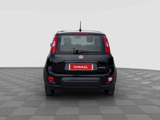 FIAT Panda usata 3