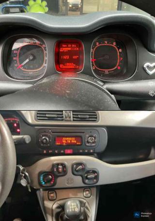 FIAT Panda usata, con Airbag Passeggero