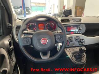 FIAT Panda usata, con Volante multifunzione