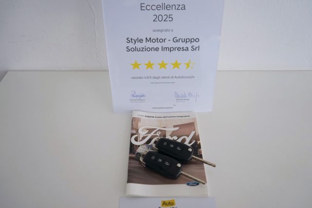 FORD Fiesta usata 59
