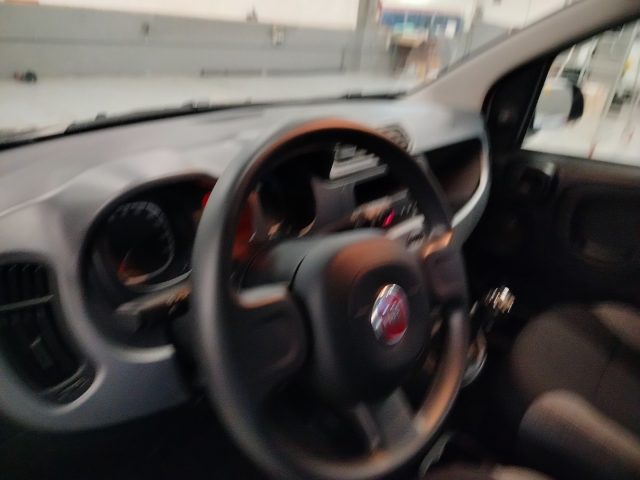 FIAT Panda usata 15