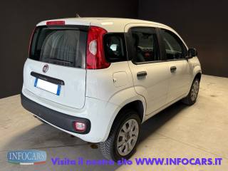 FIAT Panda usata, con Alzacristalli elettrici