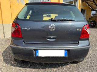 VOLKSWAGEN Polo usata, con Alzacristalli elettrici