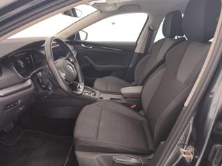 SKODA Octavia usata, con Cruise Control