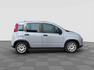 FIAT Panda usata 5