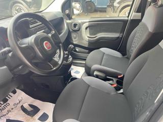 FIAT Panda usata, con Climatizzatore