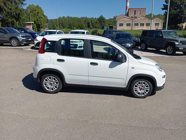 FIAT Panda usata, con Alzacristalli elettrici