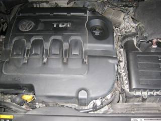VOLKSWAGEN Golf usata, con Bracciolo