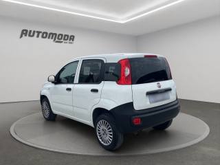 FIAT Panda usata, con ESP
