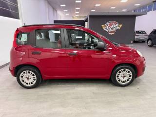 FIAT Panda usata, con Boardcomputer