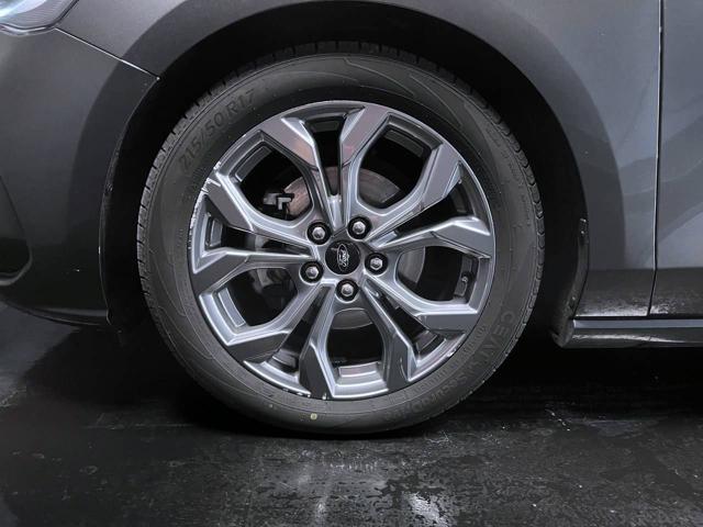 FORD Focus usata, con Cruise Control