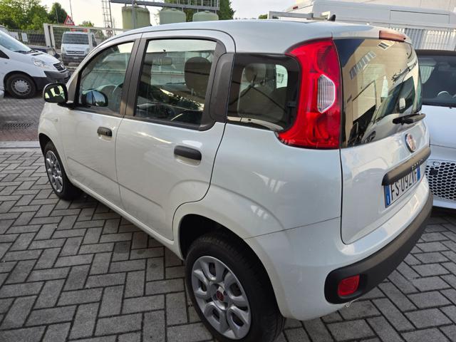 FIAT Panda usata, con Fendinebbia