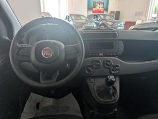 FIAT Panda usata, con Climatizzatore