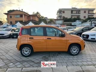 FIAT Panda usata 1