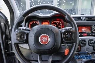 FIAT Panda usata 25