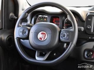 FIAT Panda usata 27