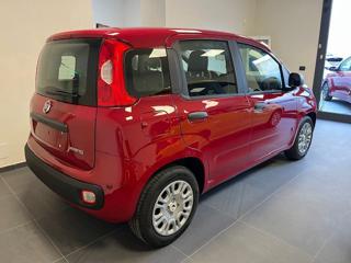 FIAT Panda usata, con Airbag Passeggero