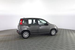 FIAT Panda usata 2