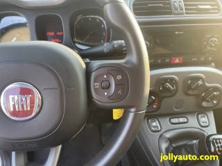 FIAT Panda usata 24