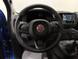 FIAT New Panda usata, con Cruise Control